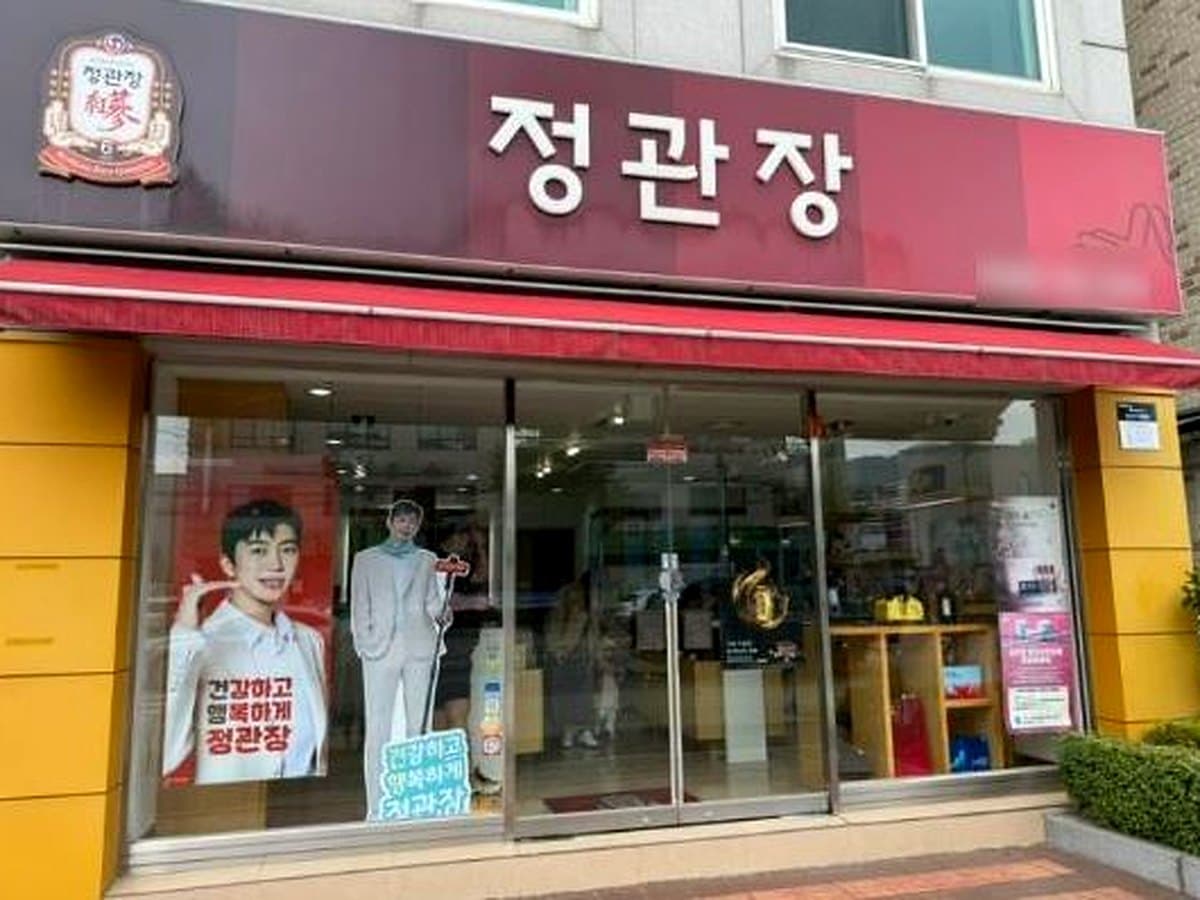 정관장 브랜드 참고 이미지